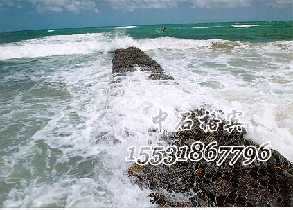 ct73.jpg 格賓網護堤