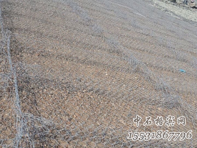 雷諾護(hù)墊 雷諾護(hù)墊