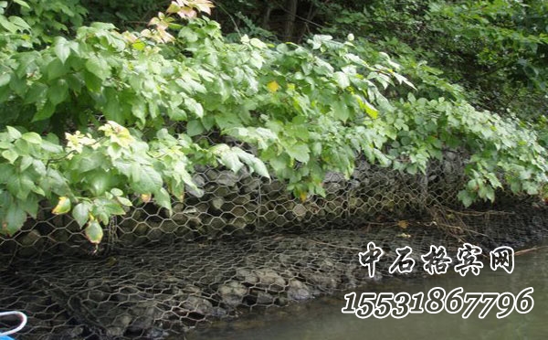 格賓網(wǎng)擋墻.jpg 格賓網(wǎng)擋墻.jpg