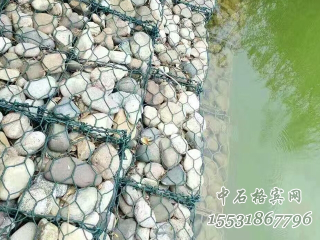 雷諾護墊 雷諾護墊