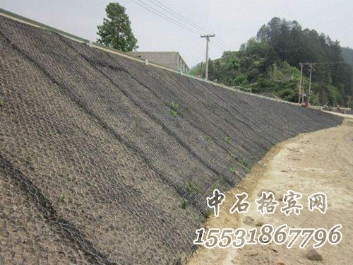 加筋麥克墊.jpg 加筋麥克墊.jpg