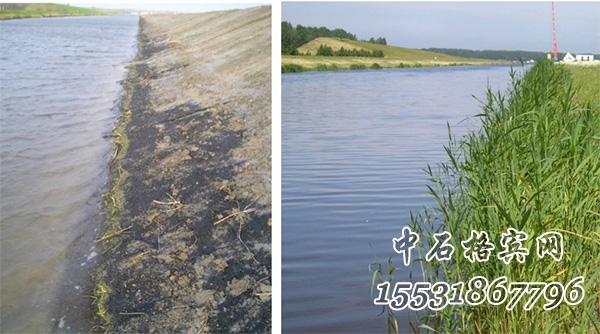 鍍高爾凡加筋麥克墊護坡 鍍高爾凡加筋麥克墊護坡