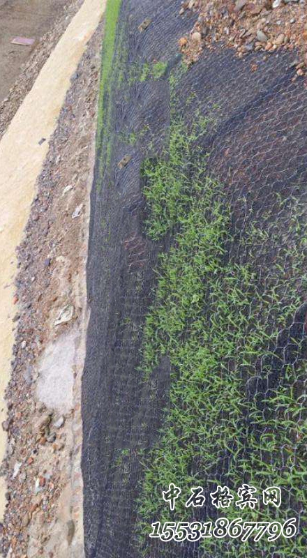 加筋三維鋼絲網墊護坡 加筋三維鋼絲網墊護坡