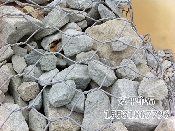 賓格網.jpg 賓格網.jpg